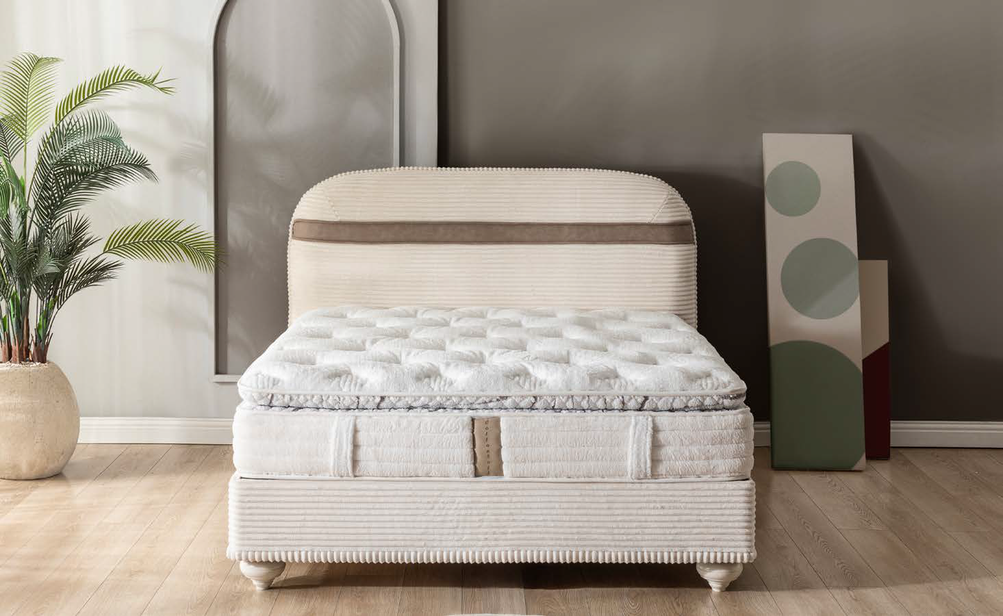Dolce Polsterbett-Set; Matratze, Polsterkopf; Velours; verschiedene Maße & Farben